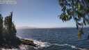 ./images/koeye/fitz-hugh/20260426/fitz-hugh20260426_140001M.jpg