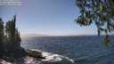 ./images/koeye/fitz-hugh/20260426/fitz-hugh20260426_140502M.jpg