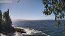 ./images/koeye/fitz-hugh/20260426/fitz-hugh20260426_141002M.jpg