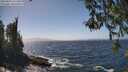./images/koeye/fitz-hugh/20260426/fitz-hugh20260426_141501M.jpg