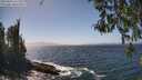 ./images/koeye/fitz-hugh/20260426/fitz-hugh20260426_142002M.jpg
