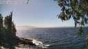 ./images/koeye/fitz-hugh/20260426/fitz-hugh20260426_144001M.jpg
