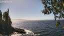./images/koeye/fitz-hugh/20260426/fitz-hugh20260426_145001M.jpg