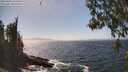 ./images/koeye/fitz-hugh/20260426/fitz-hugh20260426_145501M.jpg