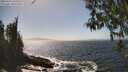 ./images/koeye/fitz-hugh/20260426/fitz-hugh20260426_151001M.jpg
