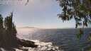./images/koeye/fitz-hugh/20260426/fitz-hugh20260426_151501M.jpg