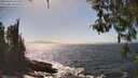 ./images/koeye/fitz-hugh/20260426/fitz-hugh20260426_152501M.jpg