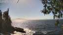 ./images/koeye/fitz-hugh/20260426/fitz-hugh20260426_153001M.jpg