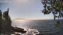 ./images/koeye/fitz-hugh/20260426/fitz-hugh20260426_154001M.jpg
