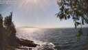 ./images/koeye/fitz-hugh/20260426/fitz-hugh20260426_154501M.jpg