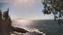 ./images/koeye/fitz-hugh/20260426/fitz-hugh20260426_155001M.jpg