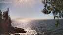 ./images/koeye/fitz-hugh/20260426/fitz-hugh20260426_155501M.jpg