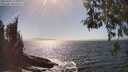 ./images/koeye/fitz-hugh/20260426/fitz-hugh20260426_160001M.jpg