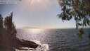 ./images/koeye/fitz-hugh/20260426/fitz-hugh20260426_160501M.jpg