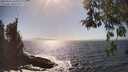 ./images/koeye/fitz-hugh/20260426/fitz-hugh20260426_161002M.jpg