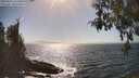 ./images/koeye/fitz-hugh/20260426/fitz-hugh20260426_161501M.jpg