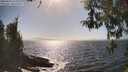 ./images/koeye/fitz-hugh/20260426/fitz-hugh20260426_162001M.jpg