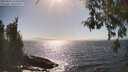 ./images/koeye/fitz-hugh/20260426/fitz-hugh20260426_162501M.jpg