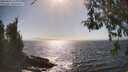 ./images/koeye/fitz-hugh/20260426/fitz-hugh20260426_163001M.jpg
