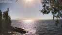 ./images/koeye/fitz-hugh/20260426/fitz-hugh20260426_163501M.jpg