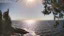 ./images/koeye/fitz-hugh/20260426/fitz-hugh20260426_164001M.jpg