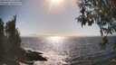 ./images/koeye/fitz-hugh/20260426/fitz-hugh20260426_164501M.jpg