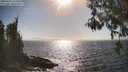 ./images/koeye/fitz-hugh/20260426/fitz-hugh20260426_165501M.jpg