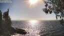 ./images/koeye/fitz-hugh/20260426/fitz-hugh20260426_170501M.jpg