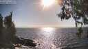 ./images/koeye/fitz-hugh/20260426/fitz-hugh20260426_171501M.jpg