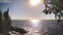 ./images/koeye/fitz-hugh/20260426/fitz-hugh20260426_172001M.jpg
