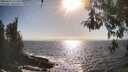 ./images/koeye/fitz-hugh/20260426/fitz-hugh20260426_172501M.jpg