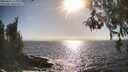./images/koeye/fitz-hugh/20260426/fitz-hugh20260426_173001M.jpg