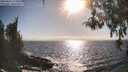 ./images/koeye/fitz-hugh/20260426/fitz-hugh20260426_173501M.jpg