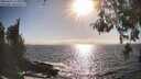 ./images/koeye/fitz-hugh/20260426/fitz-hugh20260426_174001M.jpg