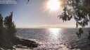 ./images/koeye/fitz-hugh/20260426/fitz-hugh20260426_174501M.jpg