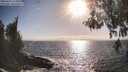 ./images/koeye/fitz-hugh/20260426/fitz-hugh20260426_175002M.jpg
