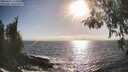 ./images/koeye/fitz-hugh/20260426/fitz-hugh20260426_175501M.jpg