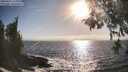 ./images/koeye/fitz-hugh/20260426/fitz-hugh20260426_180001M.jpg