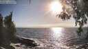 ./images/koeye/fitz-hugh/20260426/fitz-hugh20260426_180501M.jpg