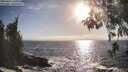 ./images/koeye/fitz-hugh/20260426/fitz-hugh20260426_181001M.jpg