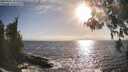 ./images/koeye/fitz-hugh/20260426/fitz-hugh20260426_181501M.jpg
