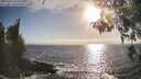 ./images/koeye/fitz-hugh/20260426/fitz-hugh20260426_182001M.jpg