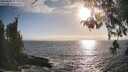 ./images/koeye/fitz-hugh/20260426/fitz-hugh20260426_182501M.jpg