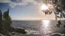 ./images/koeye/fitz-hugh/20260426/fitz-hugh20260426_183502M.jpg