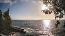 ./images/koeye/fitz-hugh/20260426/fitz-hugh20260426_184001M.jpg