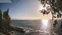 ./images/koeye/fitz-hugh/20260426/fitz-hugh20260426_184502M.jpg