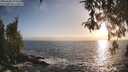 ./images/koeye/fitz-hugh/20260426/fitz-hugh20260426_192501M.jpg