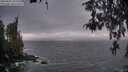 ./images/koeye/fitz-hugh/20260426/fitz-hugh20260426_205502M.jpg