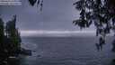 ./images/koeye/fitz-hugh/20260426/fitz-hugh20260426_211001M.jpg