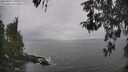./images/koeye/fitz-hugh/20260427/fitz-hugh20260427_131001M.jpg